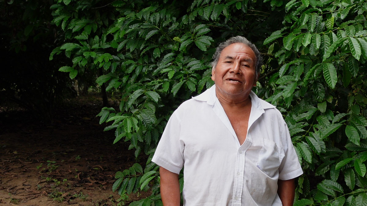 Solidaridad_Cristobal_Choc_Productor_Palma_Barómetro_Palmero_Resiliencia_Sostenible_Cero_Deforestación