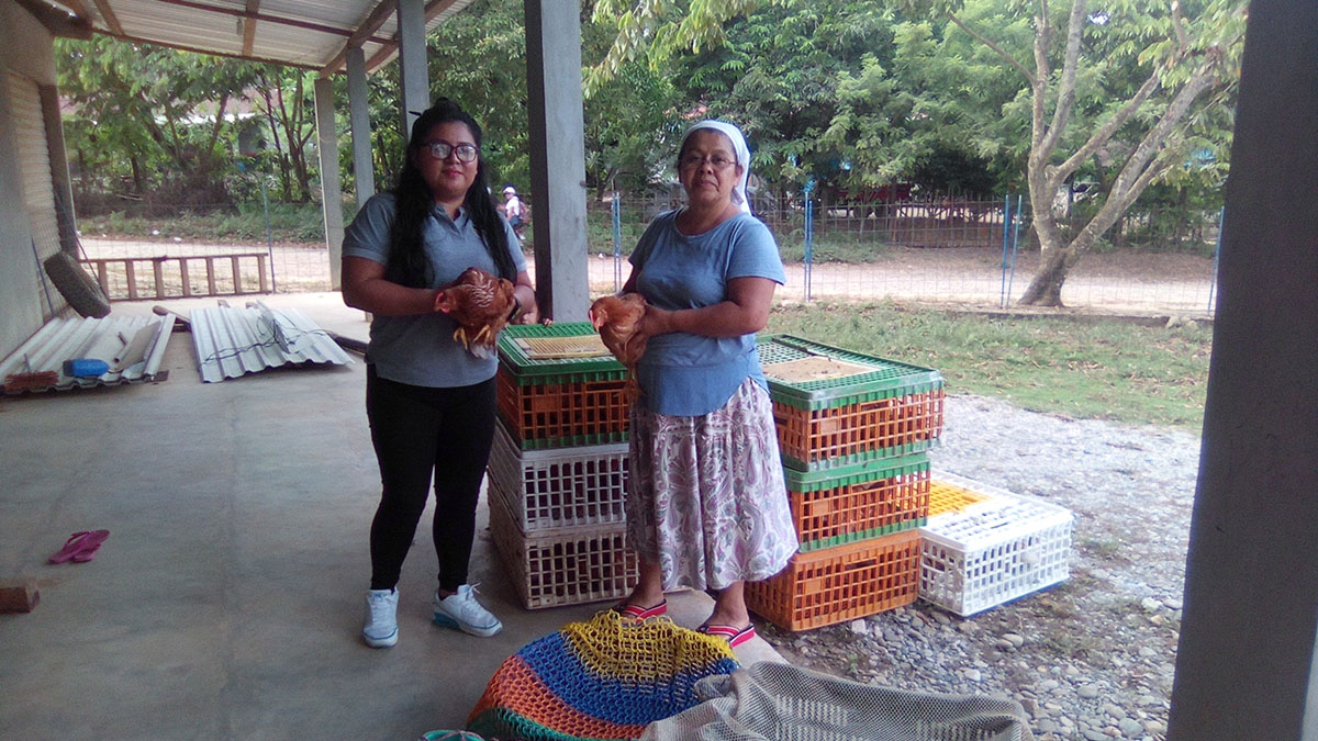 Solidaridad_Elida_Hernández_Guatemala_Eta_Iota_Gallinas_Laying_Hens_Assistance_Asistencia_Mujeres_Women_Resilience_Resiliencia