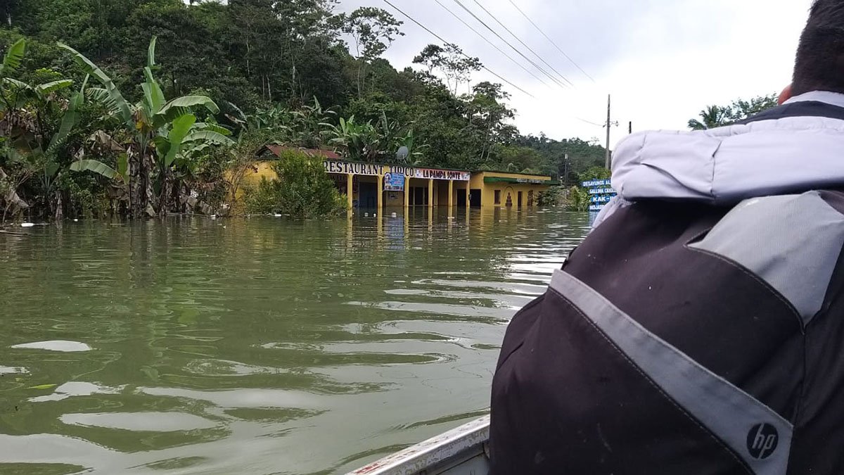 Solidaridad_Eta_Iota_Guatemala_Aid_Asistencia_Productores_Palma_Smallholders_Huracan_Resiliencia_Resilience