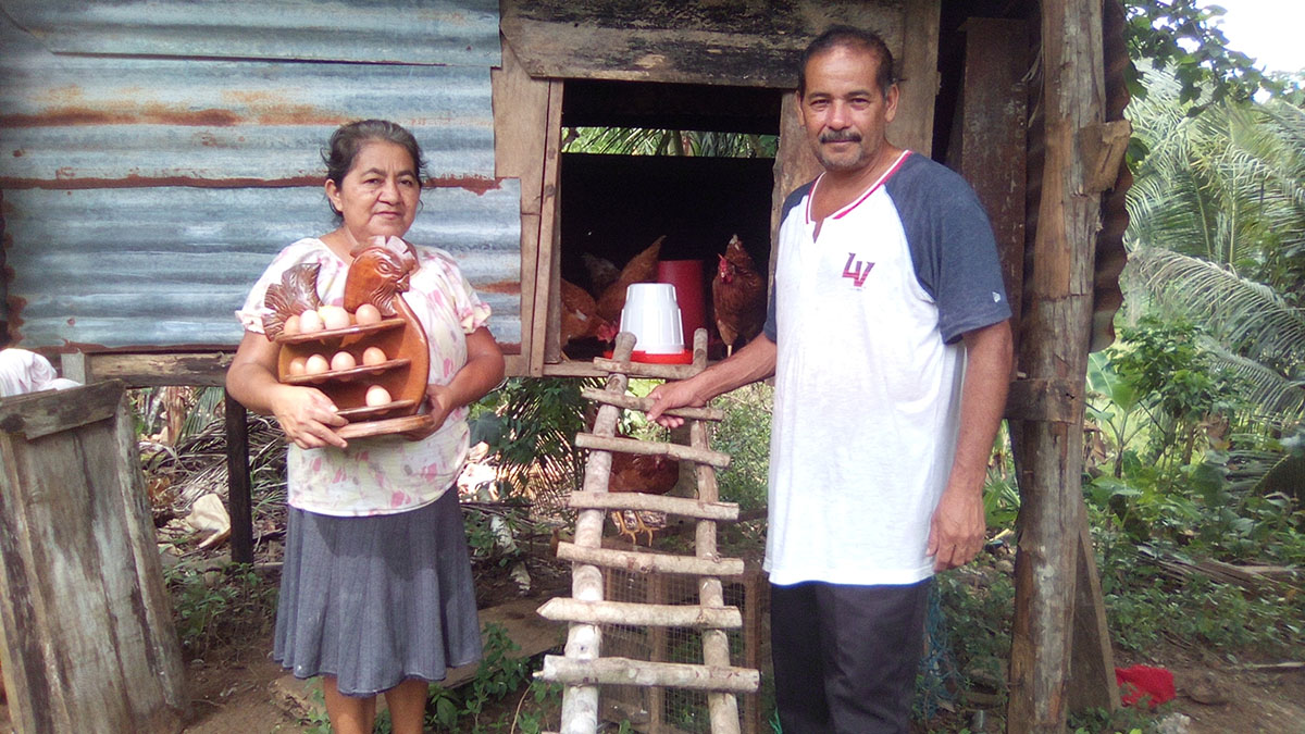 Solidaridad_Guatemala_Eta_Iota_María_Elena_Huevos_Gallina_Eggs_Laying_Hens_Resilience_Resilencia_Familia_Huracan_Hurricane_Women_Mujer_Sostenibilidad
