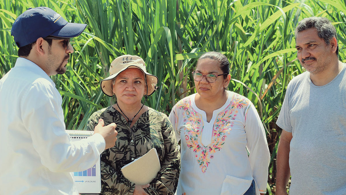 Solidaridad_MasCaña_Mexico_Bonsucro_Bayer_Pantaleón_Caña_Azúcar_Productores_PanameriCaña Solidaridad_MasCaña_Mexico_Bonsucro_Bayer_Pantaleón_Caña_Azúcar_Productores_PanameriCaña