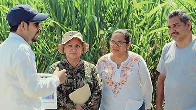 mascaña bonsucro bayer pantaleón caña azúcar productores