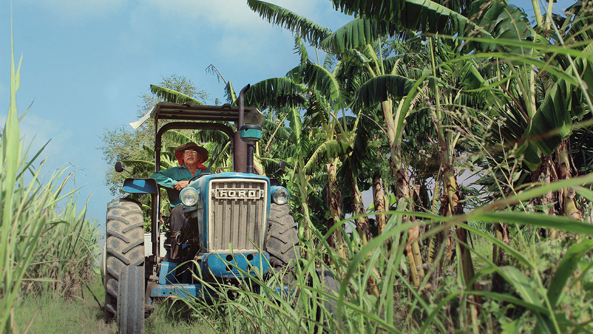 Solidaridad_Mexico_Bayer_Bonsucro_Grupo_Pantaleon_Panuco_Ingenio_Caña_Azúcar_Productores_Buenas_Prácticas