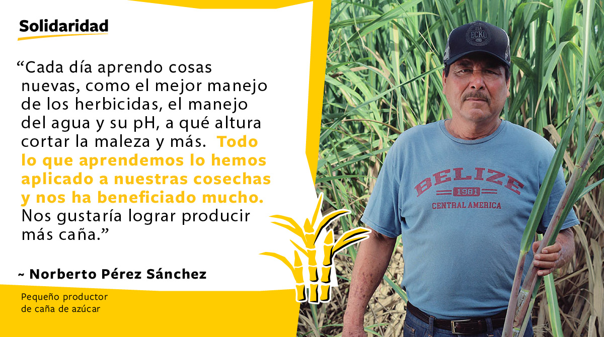 Solidaridad-Norberto-P&eacute;rez-S&aacute;nchez-MAS-CA&Ntilde;A-Productor-Ca&ntilde;a-Az&uacute;car-Cita-Capacitaciones