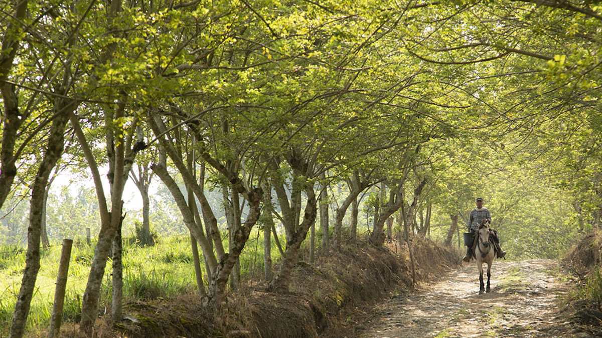 COP27-Solidaridad-Cierre-Logros-Omisiones-Carbono-Financiamiento-Climático-Cooperación-Resultados-Resiliencia-Pequeños-Productores