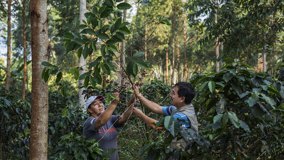 Solidaridad-COP27-Finanzas-Clim&aacute;ticas-Peuque&ntilde;os-Productores-Sostebible-Egipto-Compromiso