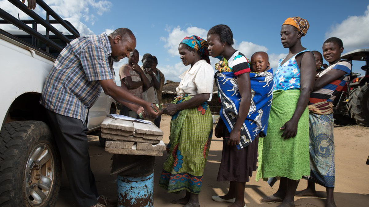Solidaridad-COP27-Finanzas-Climáticas-Egipto-Resiliencia-Productores
