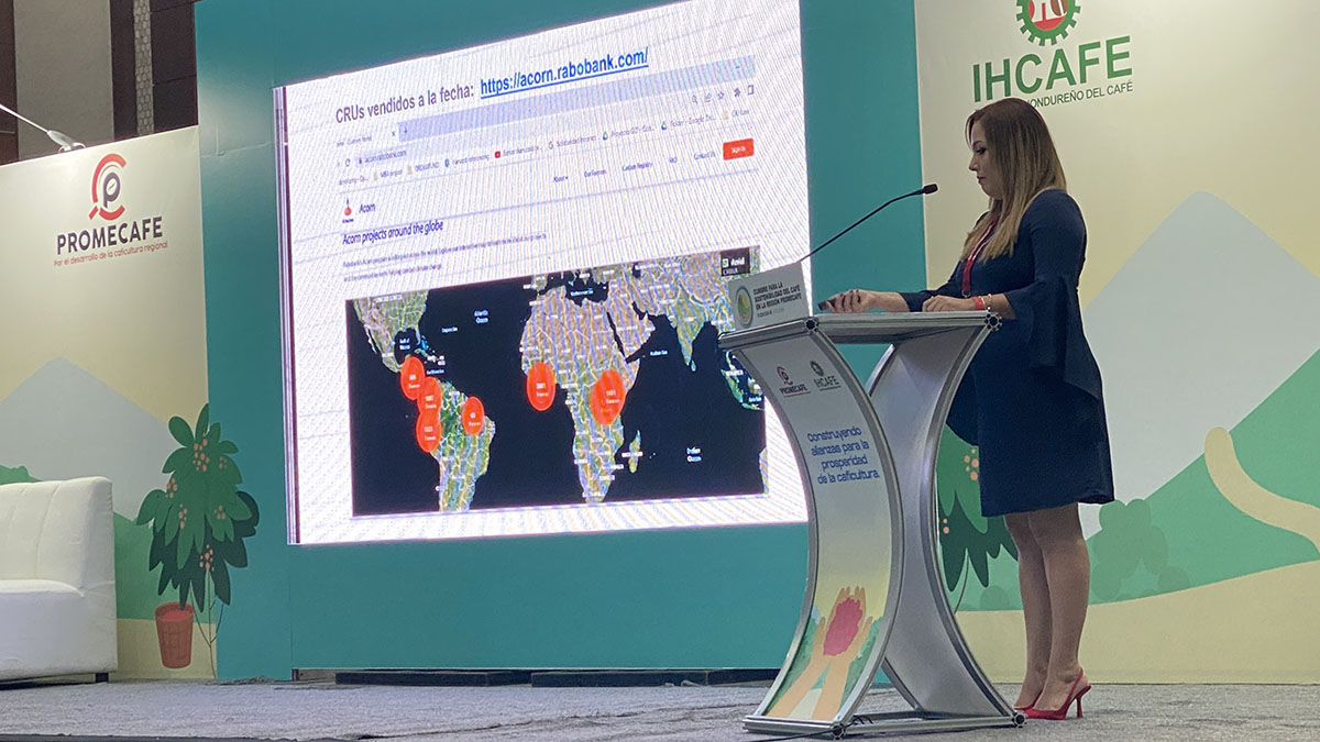 Solidaridad-Sofía-Núñez-Café-Honduras-Fincas-Charla-Cumbre-Para-la-sostenibilidad-IV-Carbono-Mercados-Productores-Pequeños-Resiliencia-Cambio-Climático-Café