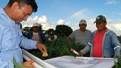 Soya Sostenible, Bolivia, Solidaridad