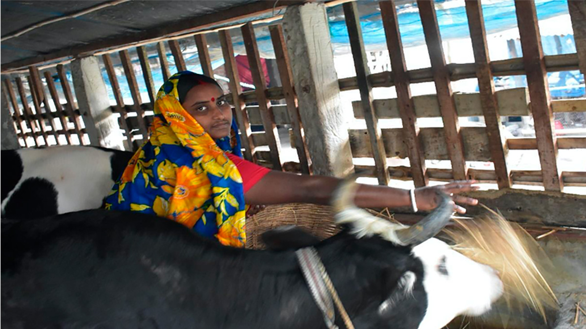Solidaridad-Aparna-Dairy-Herramientas-Digitales-Mujeres-Genero-Asia-Bangladesh
