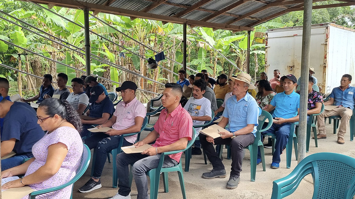 Solidaridad-Capacitaciones-Honduras-tramabjo-decente-palma-de-aceite