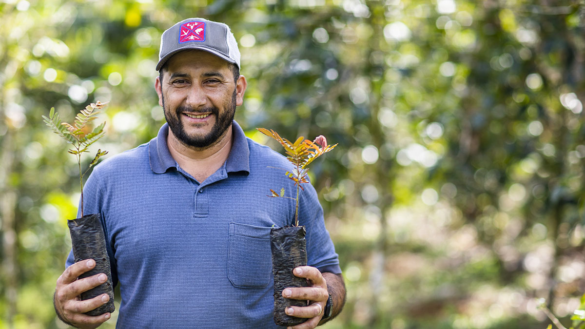 Solidaridad-Dreamfund-Nicaragua-Arboles-Huella-Carbono-Acorn-Financiamiento-Sostenible-Café