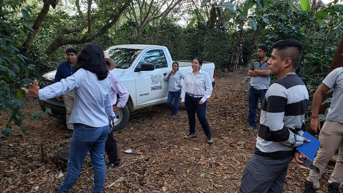 Solidaridad-Nestlé-México-Técnicos-Café-Productores-Sostenible-Agricultura-Regenerativa-Ingreso-Digno
