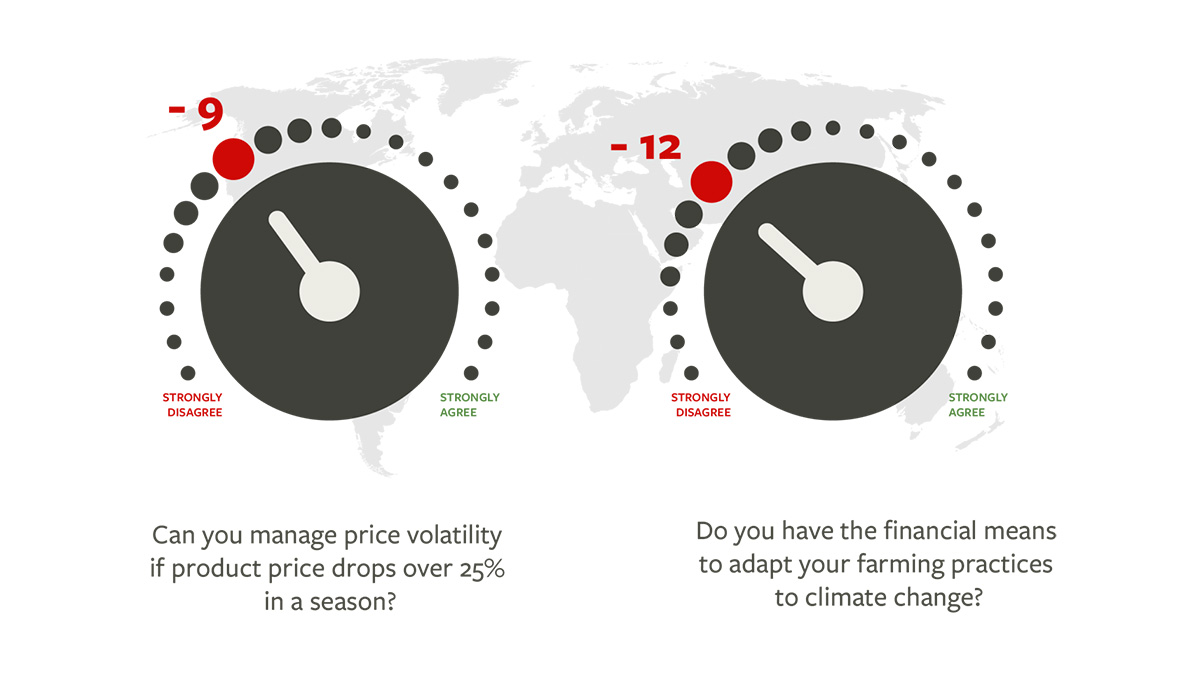 SFA-Solidaridad-Gr&aacute;fica