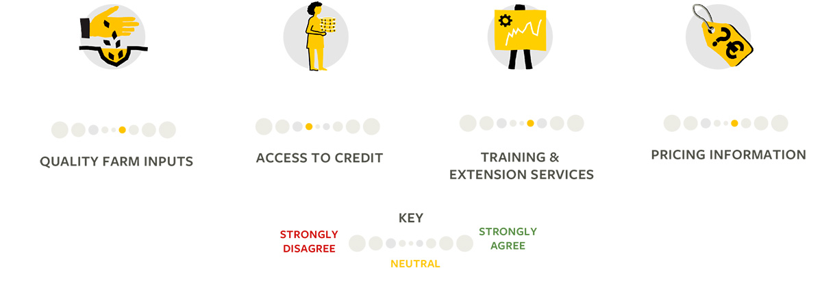 SFA-Solidaridad-2023