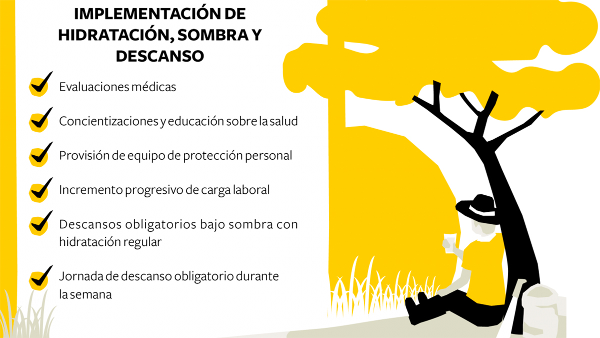 Solidaridad-Agua-Descanso-sombra-Trabajo-Decente-Honduras