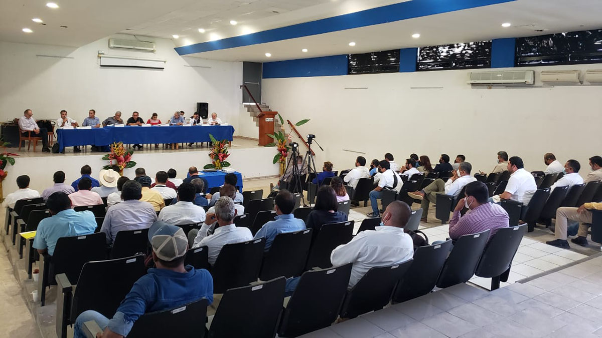 Solidaridad-Cero-Deforestaci&oacute;n-Mexico-Palma-Aceite-AKK