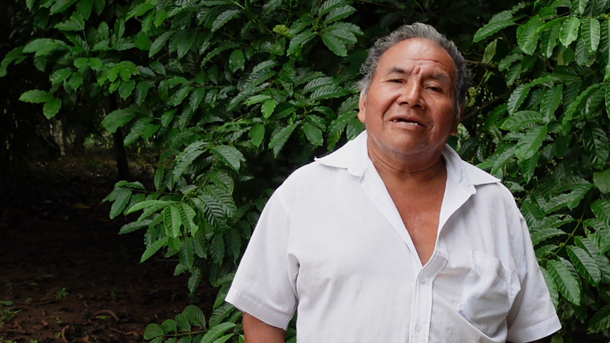 Solidaridad-Cristobal-Choc-Guatemala-MAPA-Palma-De-Aceite-Aceitera-Sostenible-Pequeño-Productor-RSPO