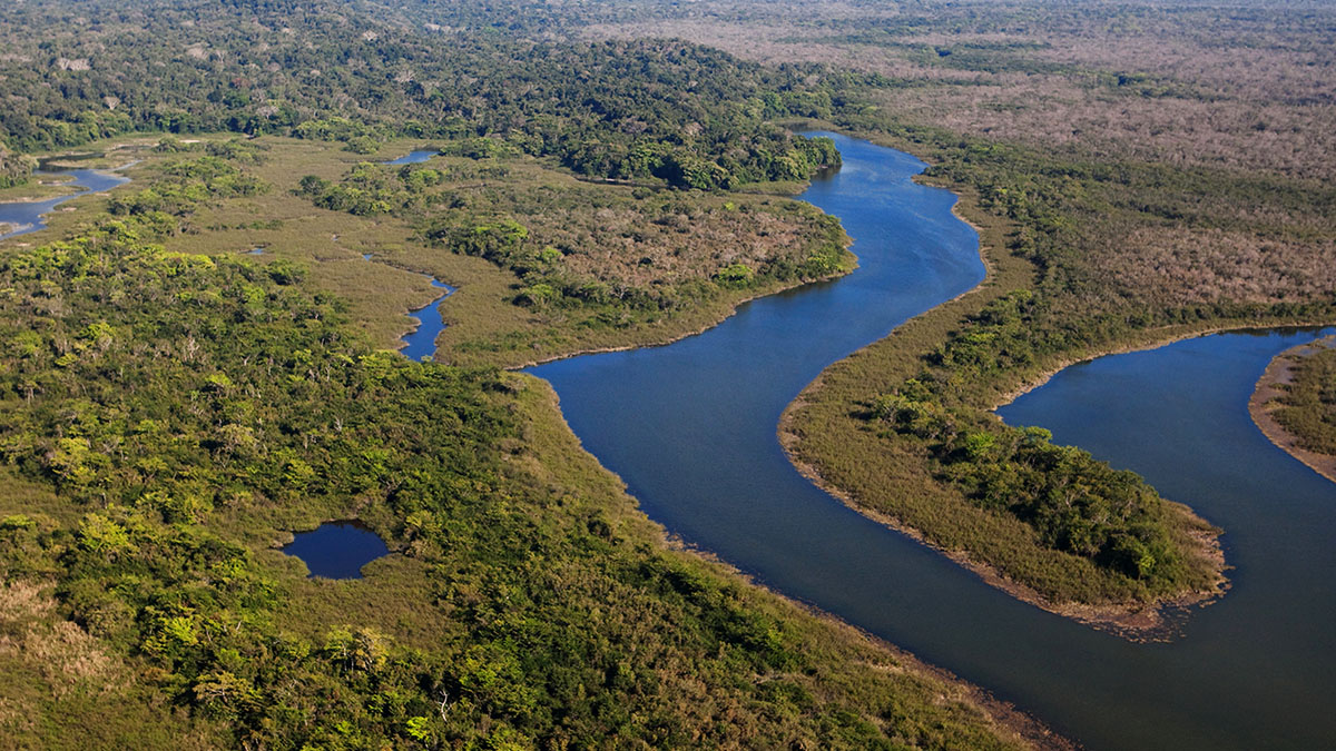 Solidaridad-MAPA-Biodiversidad-Sostenible-Palma-Aceitera-Pequeño-Productor-Cero-Deforestación-Protección-Centroamérica-Honduras-Guatemala-Nicaragua