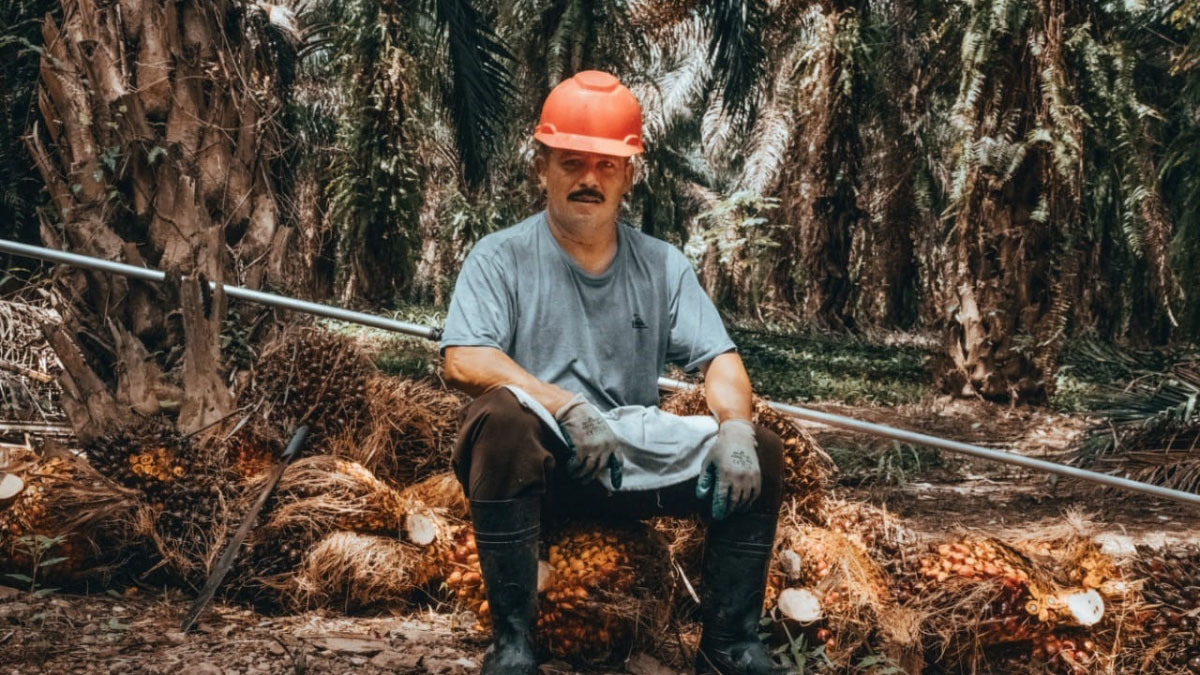 Solidaridad-MAPA-Centroamérica-Honduras-Nicaragua-Guatemala-Mexico-Sostenible-Palma-Aceitera-RSPO-Cero-Deforestación