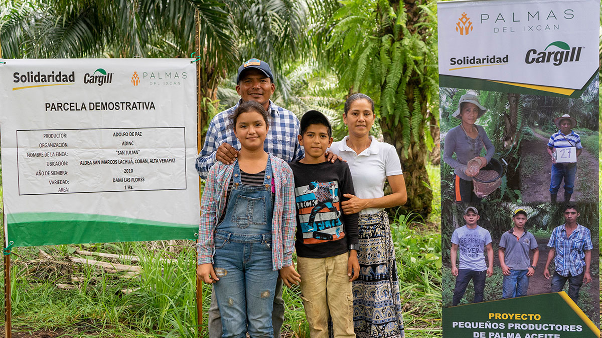 Solidaridad-MAPA-Parcela-.Demostrativa-Aceite-Palma-Palma-Aceitera-Sostenible-Pequeños-Productores-Verapazjpg
