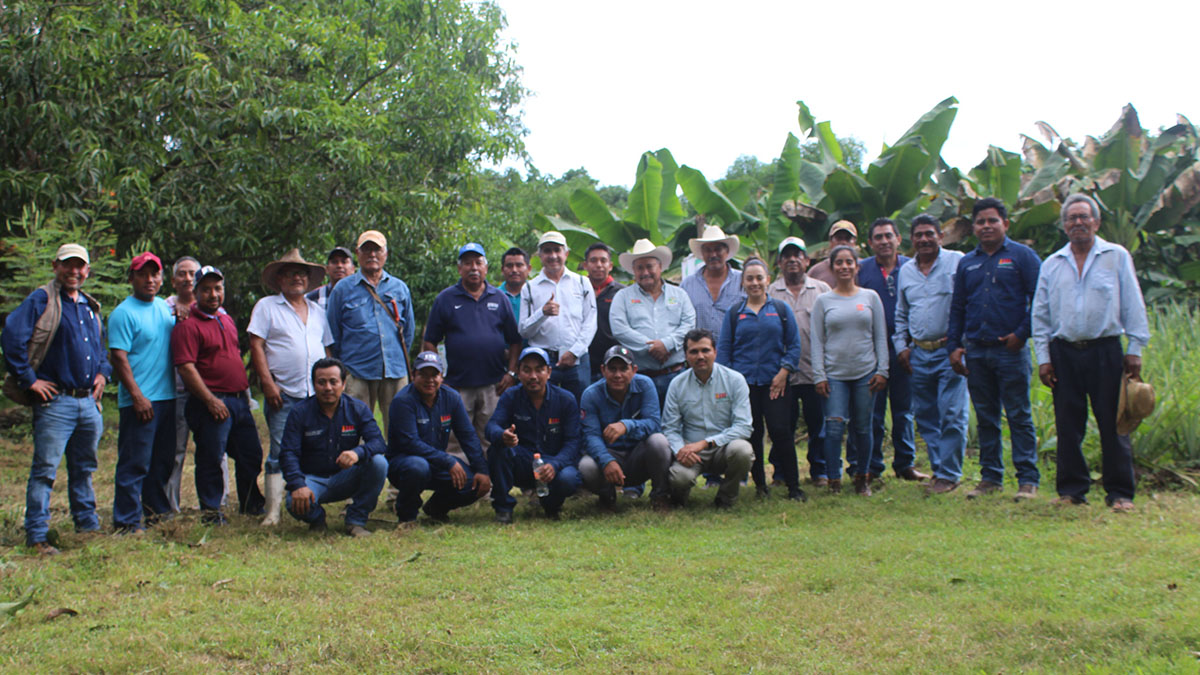 Solidaridad-Mexico-Palma-Aceite-Productores-Sostenible-AKK