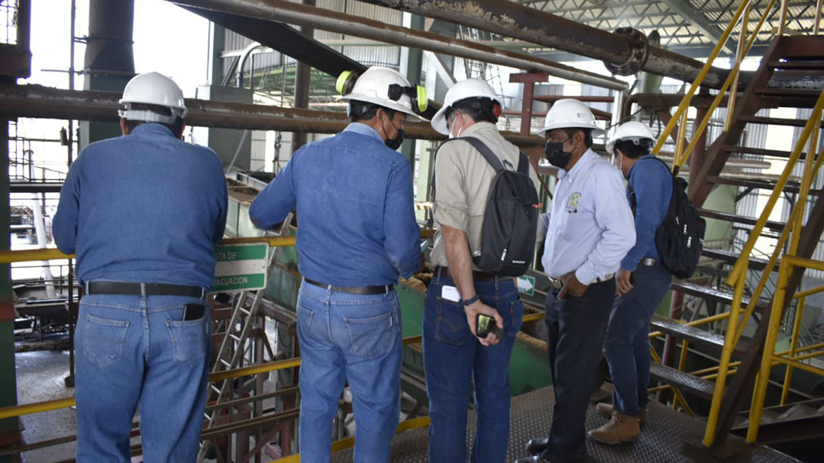 Solidaridad-Palma-M&eacute;xico-Aceite-AKK-Sostenible