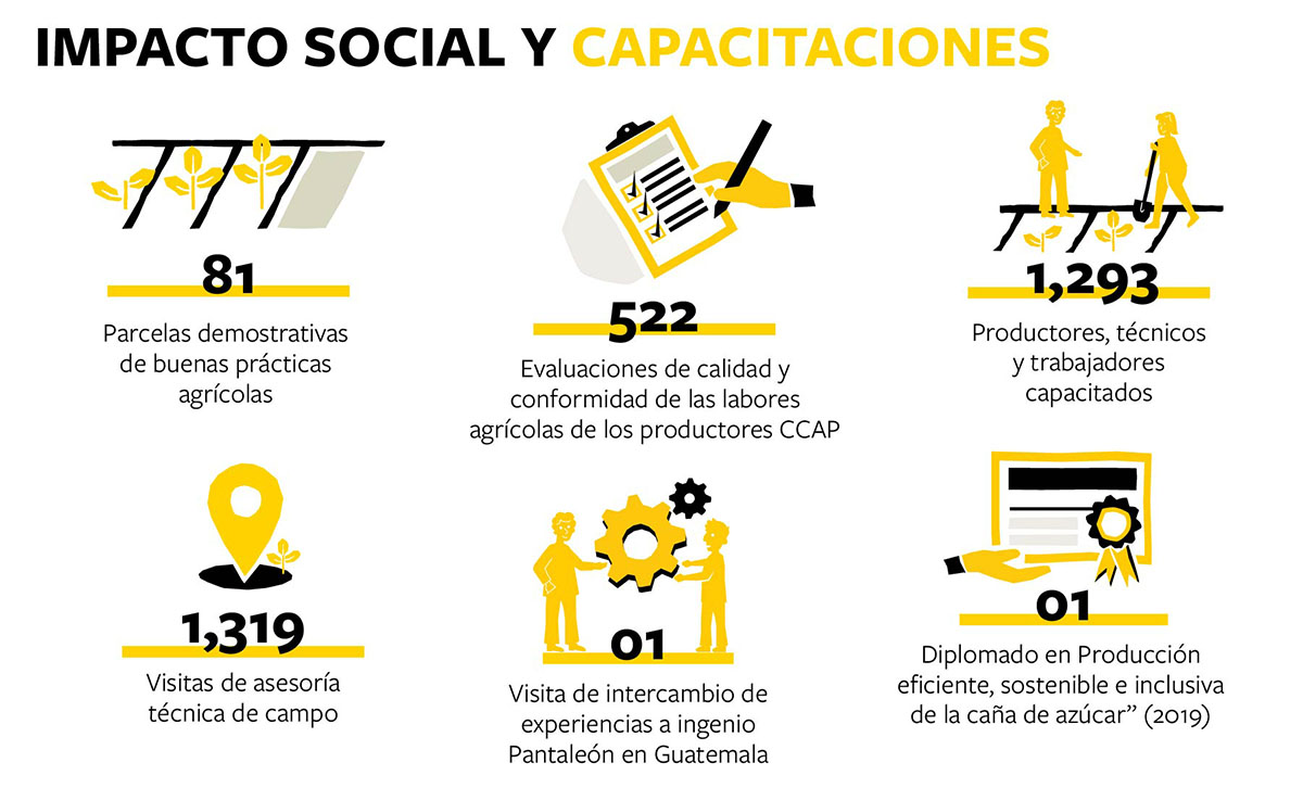 Solidaridad-PanameriCana-Impacto-Social-Parcelas-Demostrativas-Diplomados-Visitas-Tecnicas-Resultados-Productores-Cana-de-Azucar-Mexico-Guatemala-Centroamerica