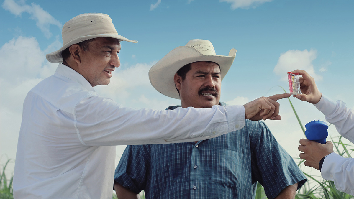 Sugarcane_Mexico_Soil Analysis 2