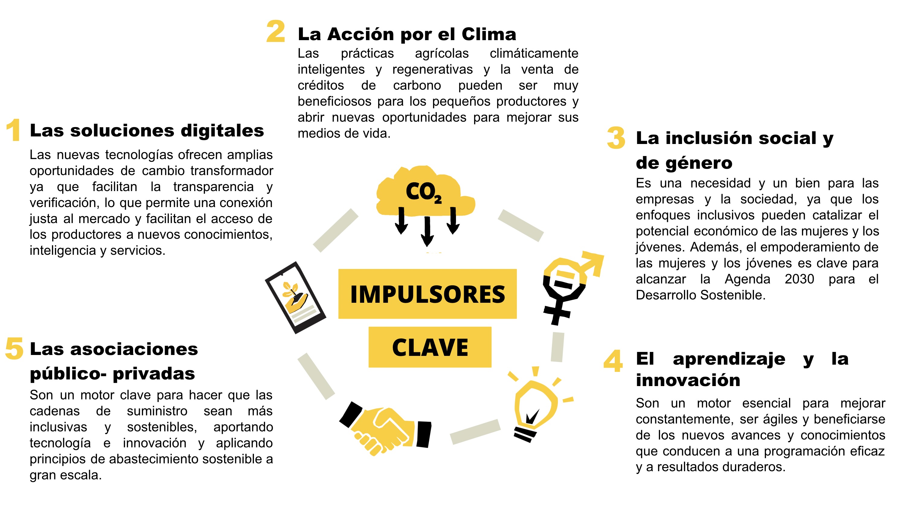 Gráfica en español