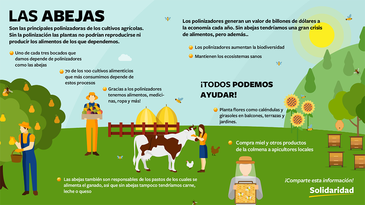 SOLI_LAS ABEJAS_AMPERSON_210623