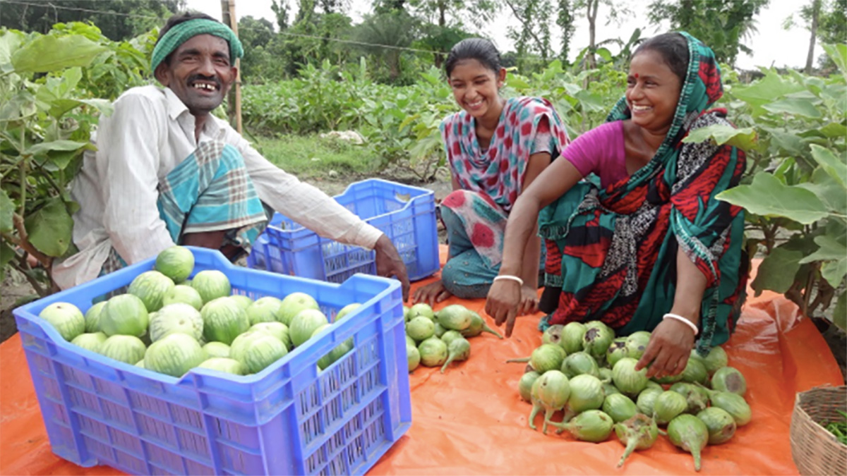 Solidaridad-Productores-Pathways-to-Prosperity