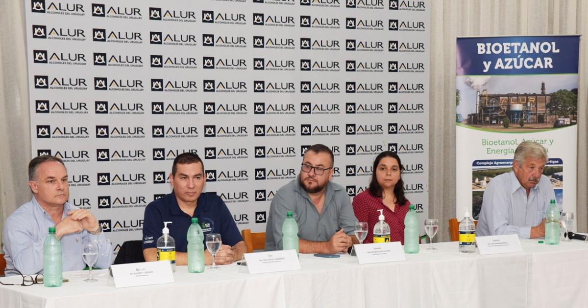 Proyecto Bonsucro con Alur y Solidaridad en Uruguay Proyecto Bonsucro con Alur y Solidaridad en Uruguay