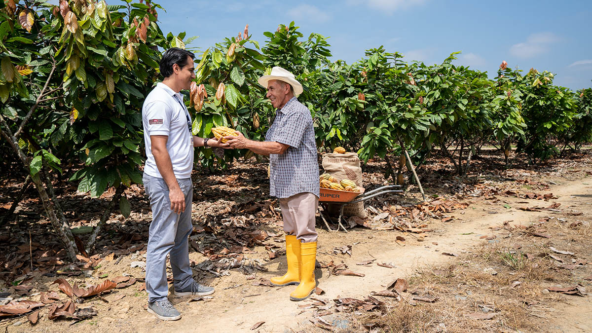 Inventario Ingreso Digno Cacao Latam. Plan Cacao Nestle