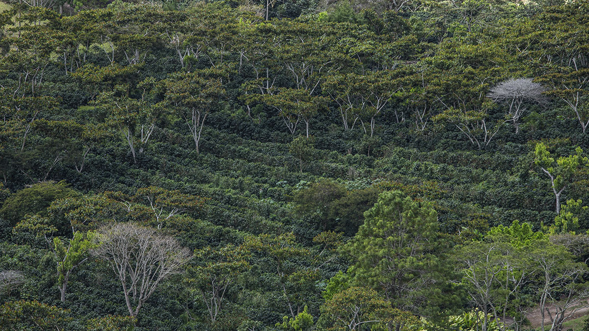 Solidaridad-Finanzas-Climáticas-Lucette