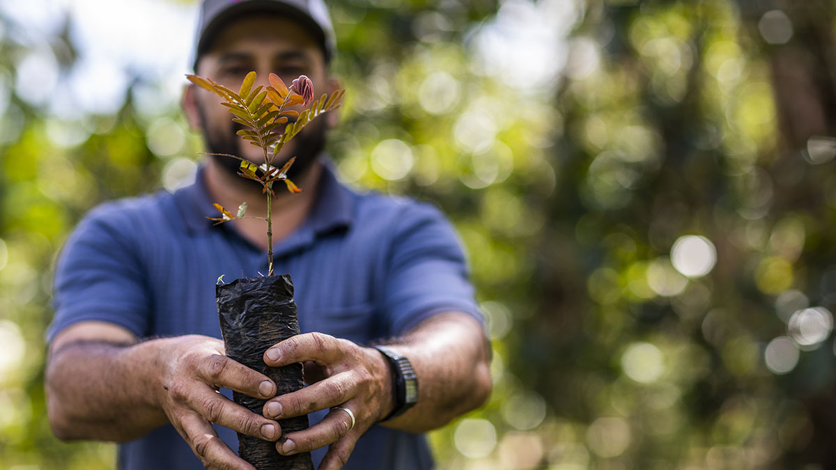 Solidaridad-Finanzas-Climáticas-Sostenible