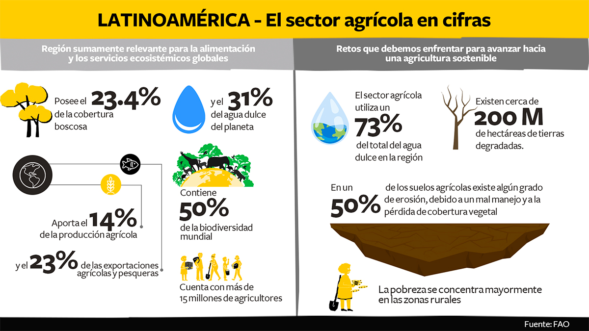 Solidaridad-Infografía-Lucette-Opinión