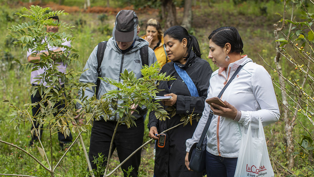 Solidaridad-Jessica-Murcia-Retos-Tecnologicos-Herramienta-Digitales