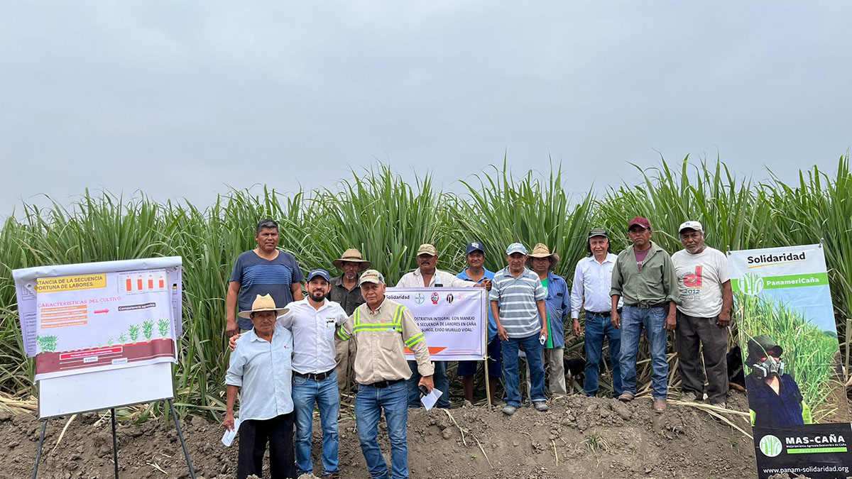Solidaridad-PanameriCaña-Prácticas-Sostenibles-Productores