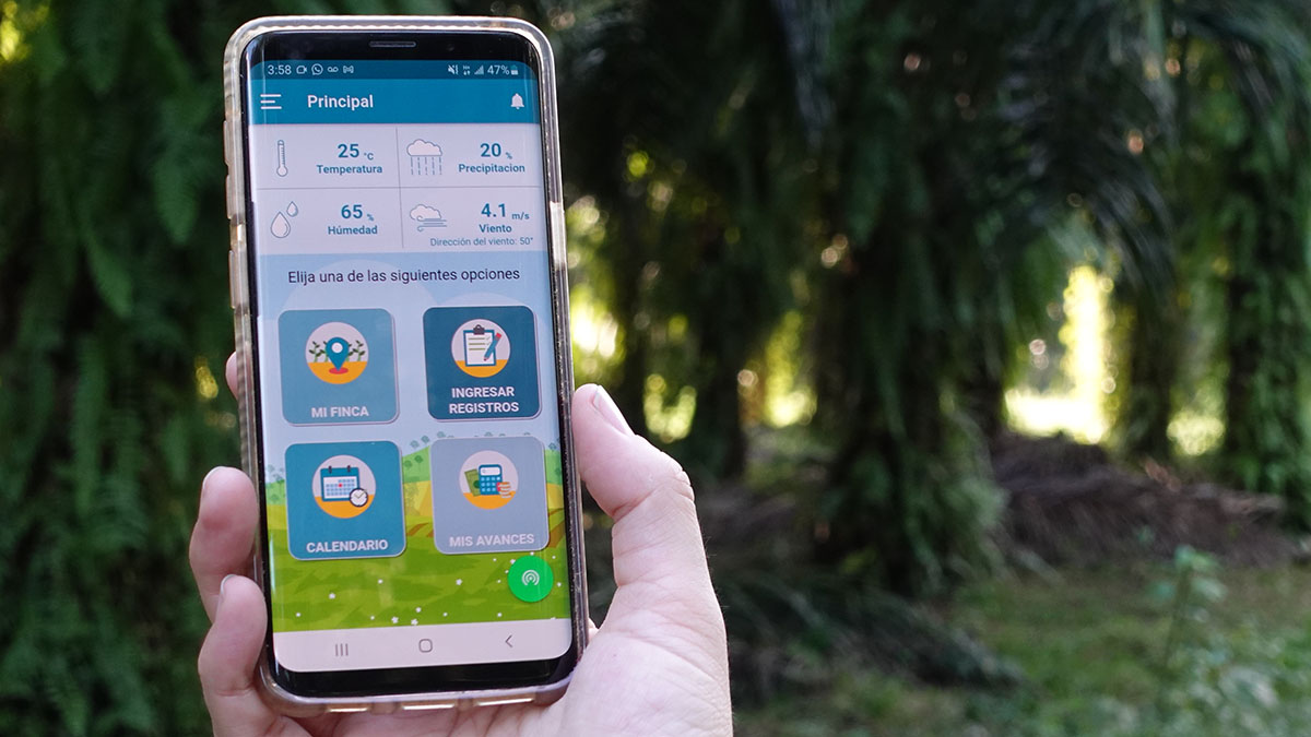 Las aplicaciones m&oacute;viles pueden ser una herramienta muy &uacute;til en la recopilaci&oacute;n de datos en campo.