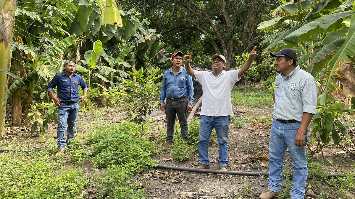 Solidaridad-Rafael-Orantes-Palma-México-Productor-Sostenible-Estudio de Caso