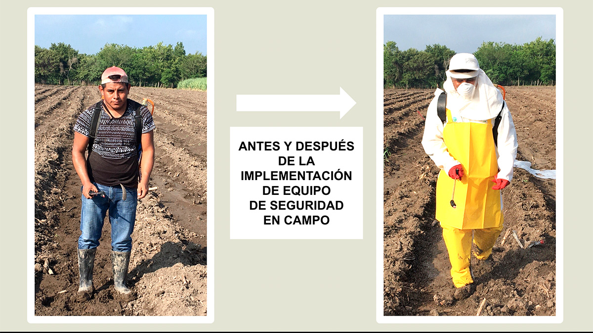 SOLIDARIDAD-Henry-Productores-Equipo