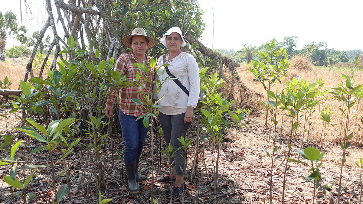 Solidaridad-Carmen-Lider-Guatemala-31-Julio-Manglar-Manchon-Recuperación