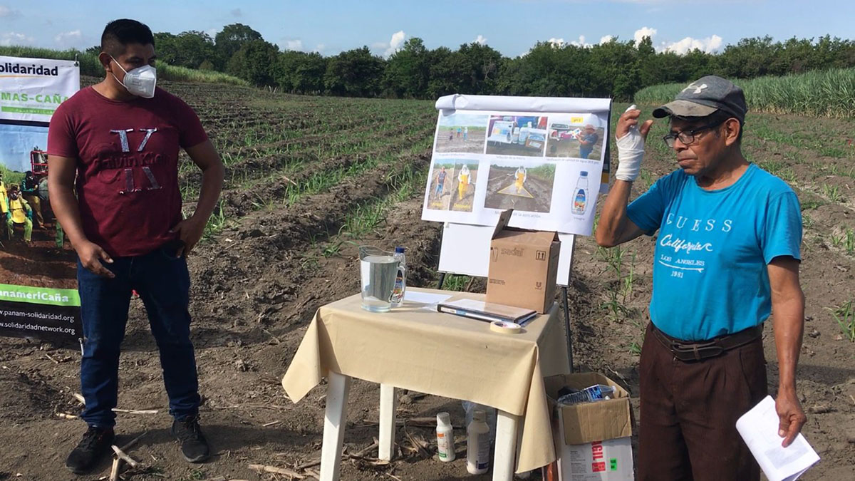 Solidaridad-Henry-Avedaño-Juan-Noriega-Parcela-Caña-México