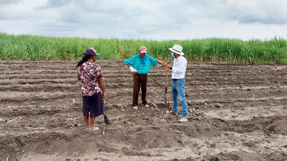 Solidaridad-Henry-Avedaño-MAS-CAÑA