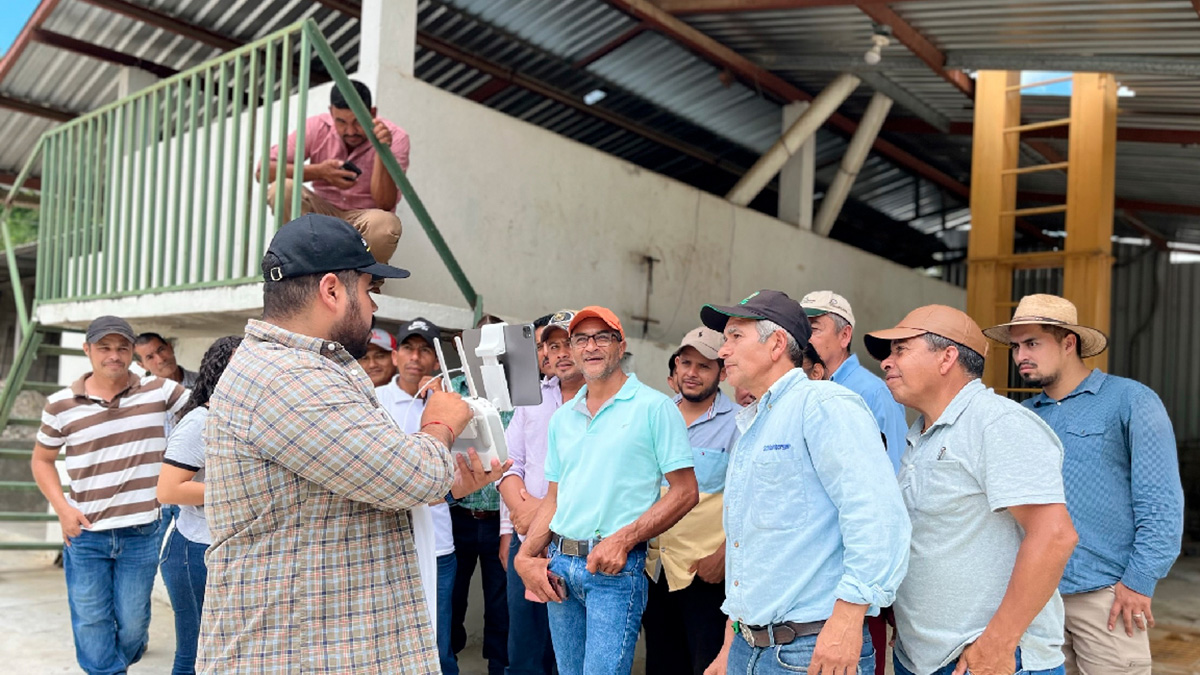 Solidaridad-Honduras-GIZ-Café-Trazabilidad-Sostenible-Género