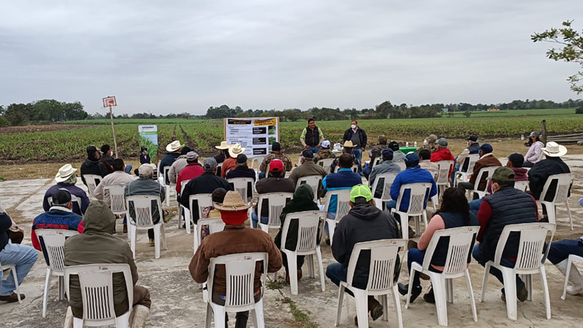 Solidaridad-Productores-Mas-CAÑA-Henry