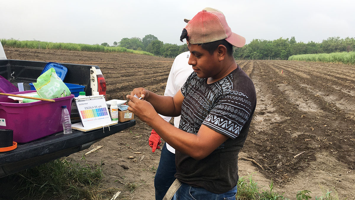 Solidaridad-Productores-México-MAS-CAÑA