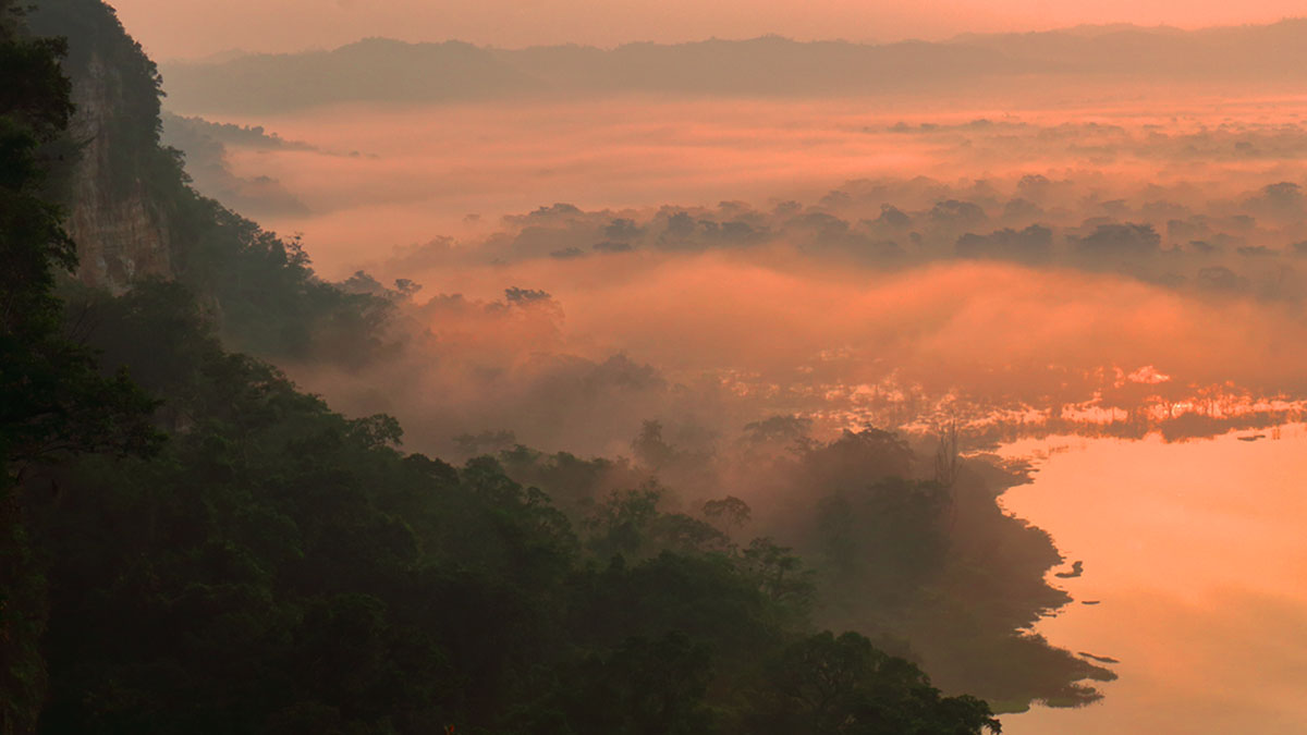 Solidaridad-WCS-Guatemala-Biodiversidad-Compensación-Remediación-Palma