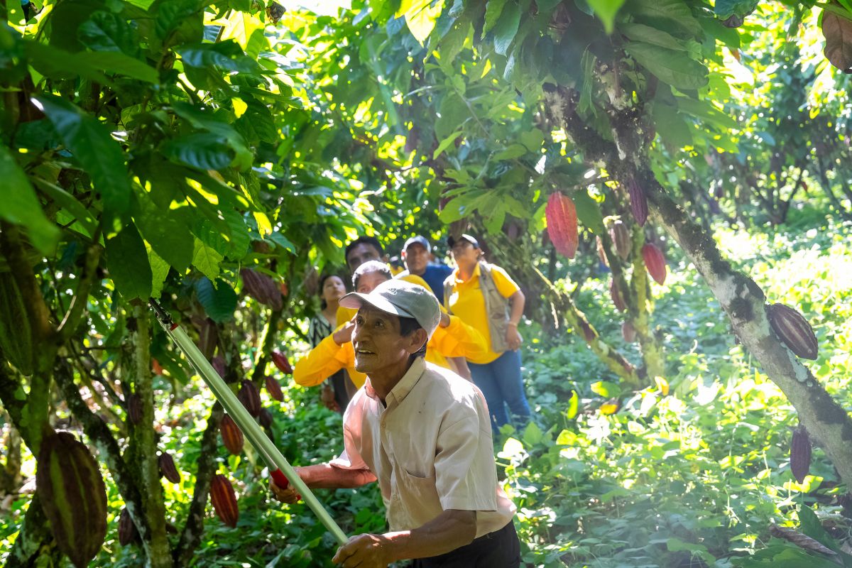 Amazon Innovatech, ejes de acci&oacute;n